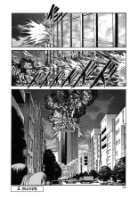 .Alice-Integrale : page 173