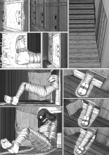 Cat : page 17