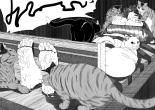 Cat : page 38