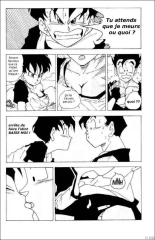 DBZ Dragon Ball G : page 4