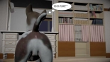 Frankys Adventure : page 803