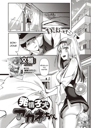 hentai Hatsujou Koinu Akane-chan