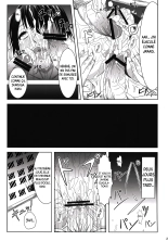 La déchéance d'Ikaruga : page 23