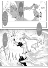Ikusa Otome to Ikusa Goto! ~Onna Sei Kishi Hen~ : page 29