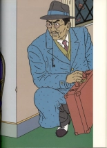 Japon Intime : page 29