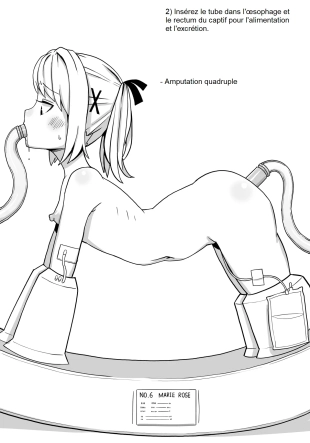 hentai dead or alive