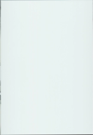 hentai fate grand order