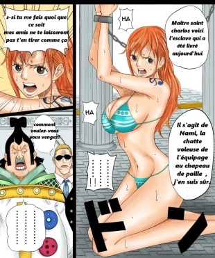 hentai Nami-san Manga