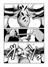 Pecan - Mode d'Emploi: La Castration: Expérience Pratique : page 24