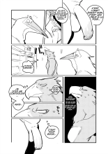Pelican and White-tailed Eagle : page 3