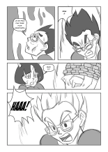 Videl from HFIL 1 : page 17