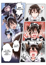 Yuusha no Ore wa TS Mesuinu Maid nanka ni wa Zettai ni Naranai! : page 3