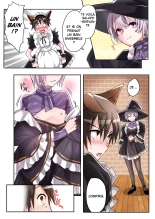 Yuusha no Ore wa TS Mesuinu Maid nanka ni wa Zettai ni Naranai! : page 6
